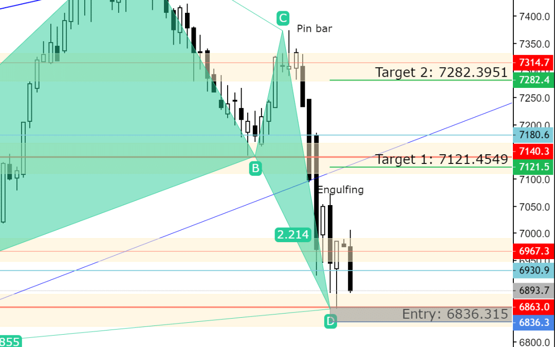 Bat Pattern Analysis Results 25.3.2023