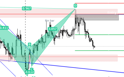 Harmonic Bat Pattern Analysis 23.9.2023